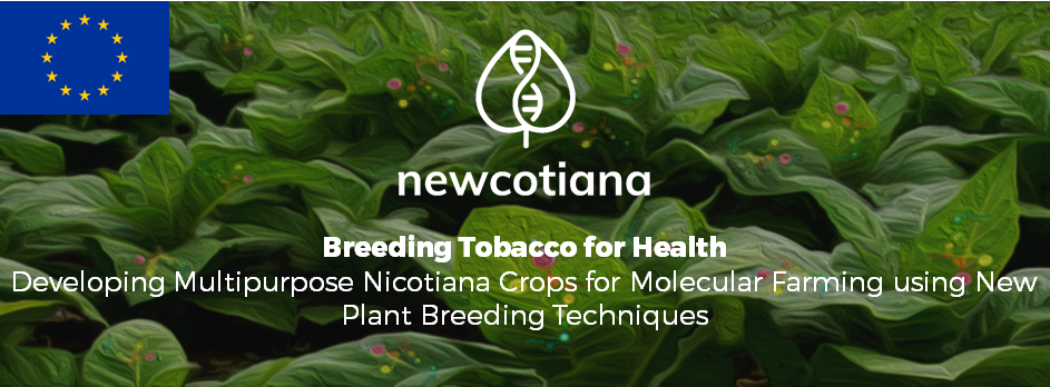 NEWCOTIANA H2020 Projekt Banner und Logo