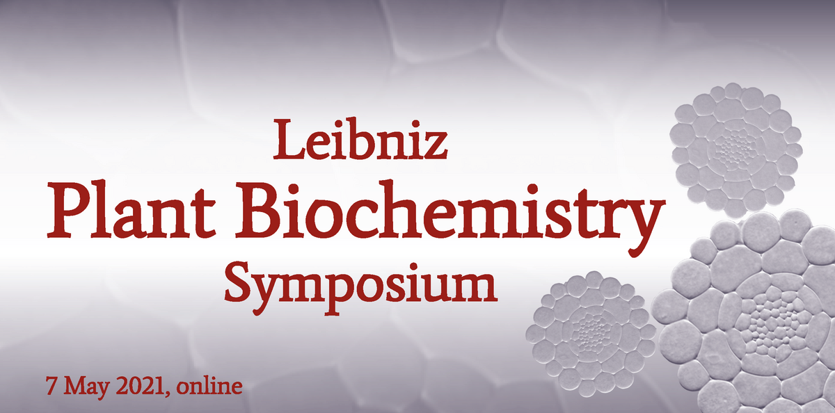 Symposium 2021 Programm (PDF)