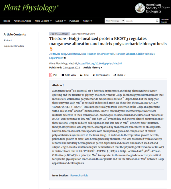 +++ News Ticker Science #122 +++ Cell walls +++