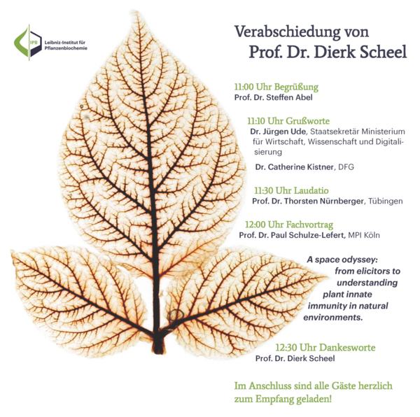 Festive colloquium on occasion of Prof. Scheel's retirement