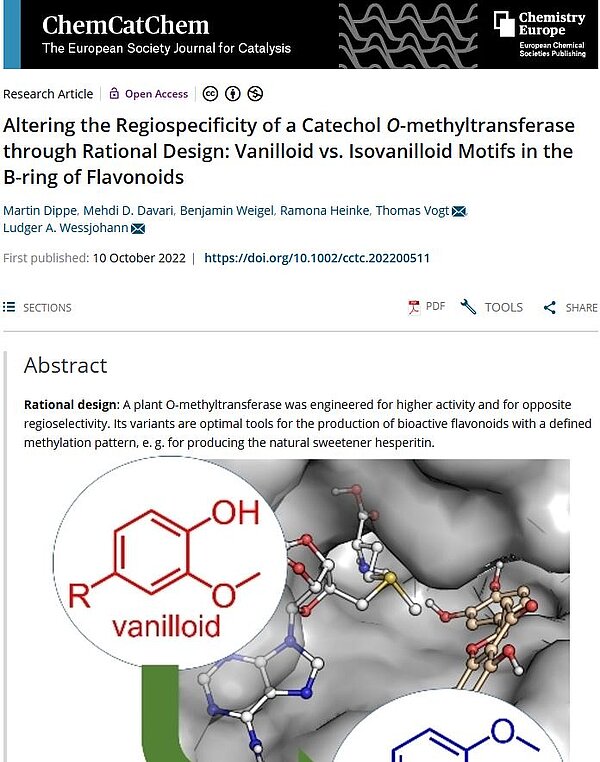 +++ News Ticker Science #125 +++ Enzyme Design +++