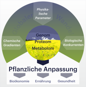 Grafische Darstellung der im Text beschriebenen Zusammenhänge, die erforscht werden