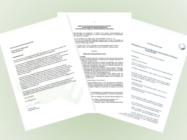 Election of Equal Opportunities Commissioner and Ombudsperson
