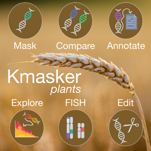 Mit „Kmasker plants“ Genomsequenzen einfacher bearbeiten 