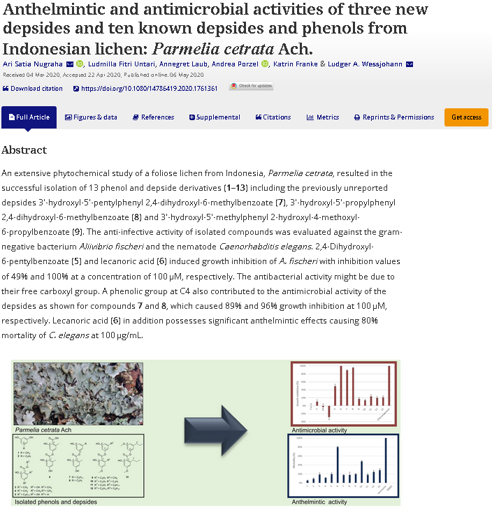 News Ticker Science 37 Antiinfectives Leibniz Institut Fur Pflanzenbiochemie